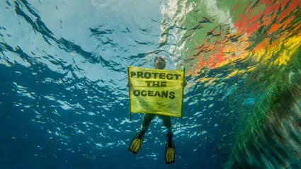 Greenpeace’ten TBMM'ye okyanusları koruma çağrısı