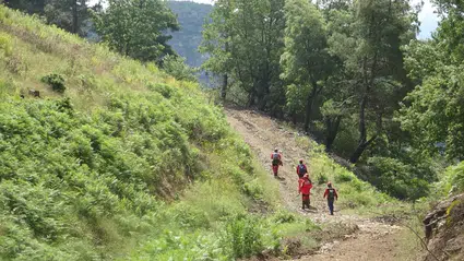 Çanakkale'de doğa yürüyüşünde kaybolan müdür yardımcısının cansız bedeni bulundu