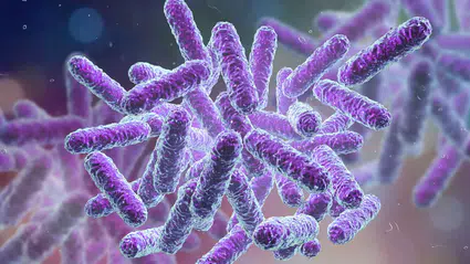 Oregon sahillerinde elektrik taşıyan bakteri keşfedildi