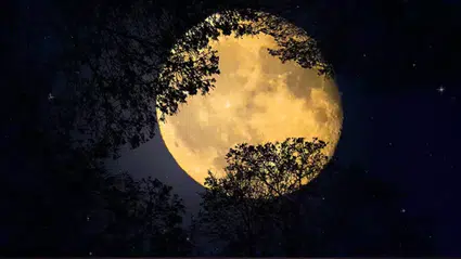 12 Mayıs 2025 Akrep Dolunayı sırlar, krizler ve büyük yüzleşmeleri getiriyor