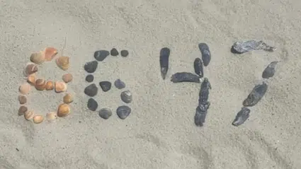 "8647" kodu güvenlik alarmı verdi: Sosyal medyadaki gizemli paylaşım inceleme altında