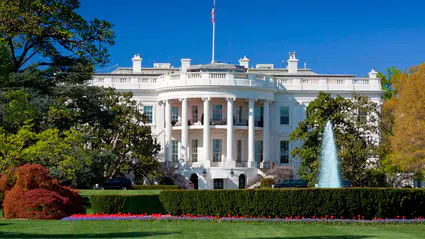 Trump'ın Ulusal Güvenlik Danışmanlığı için favori aday Stephen Miller