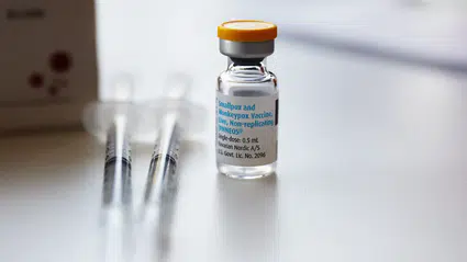 Sierra Leone'de bir haftada 384 maymun çiçeği vakası bildirildi