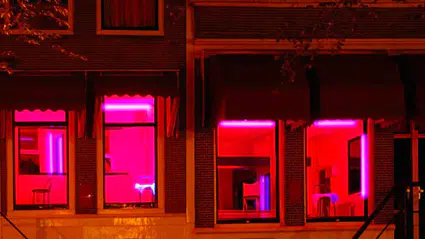 Genelevin görünmeyen yüzü: Gerçekten çözüm mü, yoksa sessiz felaket mi?