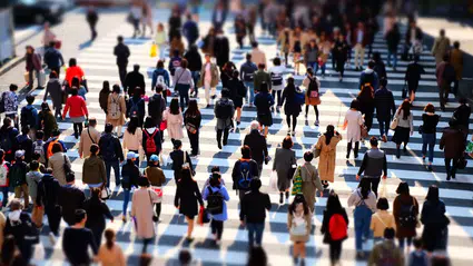 TÜİK 2025 ilk çeyrek işsizlik rakamlarını açıkladı: İşsizlik oranı %8,2’ye düştü