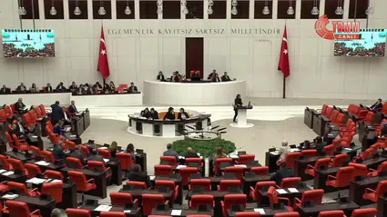TBMM'de "Kürtçe hakaret" tartışması: DEM Partili vekil sözlerini geri aldı