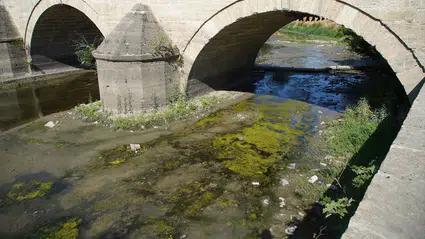 Tunca Nehri’nde kuraklık alarmı: Su akışı durma noktasında