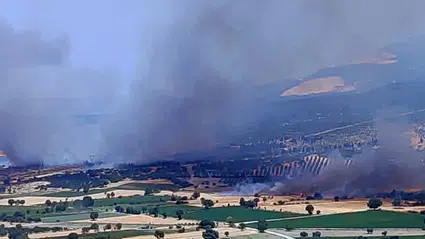 İzmir'de orman yangını çıktı: 7 helikopter ile müdahale gerçekleştiriliyor