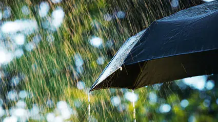 Karadeniz ve Doğu Anadolu'da sağanak yağış bekleniyor