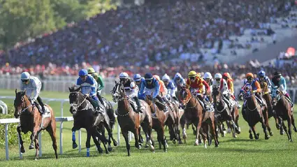 99. Gazi Koşusu'nda kazanan Cutha oldu