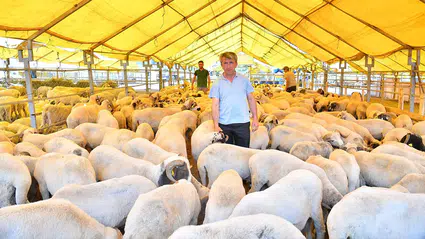 İstanbul kurban satış ve kesim yerleri |  2025 Kurban Bayramı