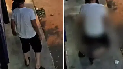 Pendik'te köpeğe tecavüz eden Ülkü Ocakları üyesi serbest bırakıldı