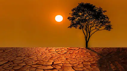 İklim değişikliği sıcak hava dalgalarında can kaybını üç kat artırdı