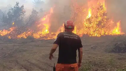 Orman Genel Müdürlüğü’nden yangınla mücadelede ekipman ve altyapı yatırımı açıklaması