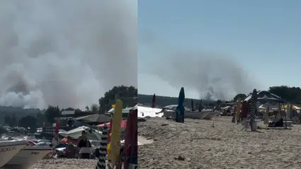 Edirne Enez’de orman yangını