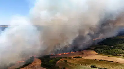 Çeşme’deki orman yangını ulaşımı felç etti: Yol güvenlik nedeniyle kapatıldı