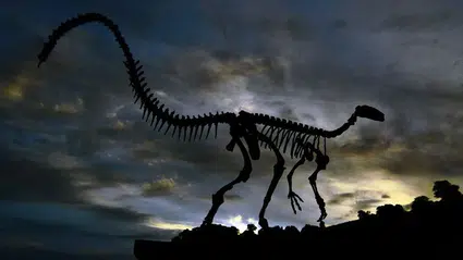 ABD’de 200 milyon yıllık yeni pterozor türü keşfedildi