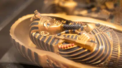 Firavunun lanetinden şifaya: Aspergillus flavus kanser tedavisinde umut oldu