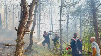 Sakarya'da orman yangınlarına yönelik tedbirler: Ormanlık alanlara girişler ve yanıcı madde satışı yasaklandı!