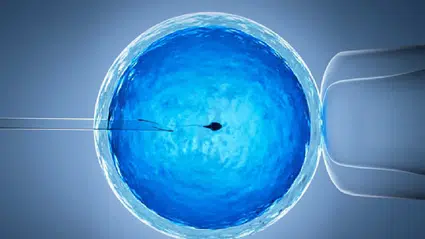 Tüp bebekte yapay zeka devrimi: Başarı oranları yükseliyor