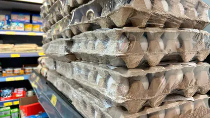 Yumurtaya talebin düşmesiyle fiyatlar da inişe geçti