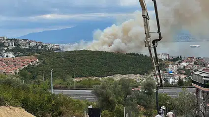 İzmit Kuruçeşme’de orman yangını: Ekipler müdahale ediyor