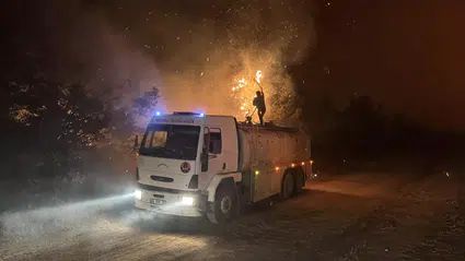 Enez’de çıkan orman yangınında 2 ev zarar gördü, yazlıklar boşaltıldı