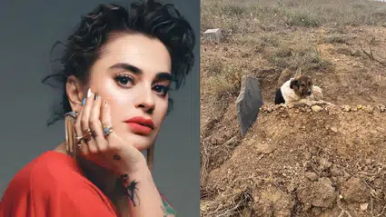 Ceylan Ertem, sadık köpeğe “Heval” adını verdi: Yeni hayat başlıyor