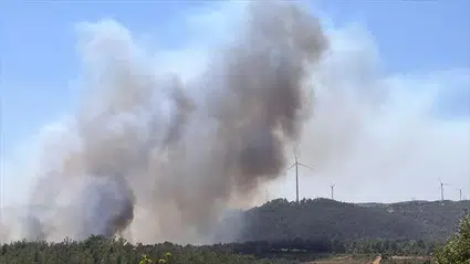 Çanakkale Salihler Barajı yakınlarında orman yangını üç köye ilerliyor