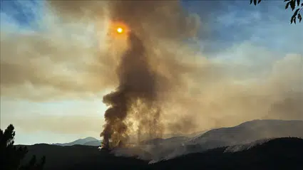 İspanya ve Portekiz’de orman yangınları: Binlerce kişi tahliye edildi, 42 bin hektar yandı