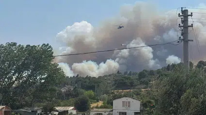 Çanakkale’de tarım arazisinde başlayan yangın ormanlık alana sıçradı