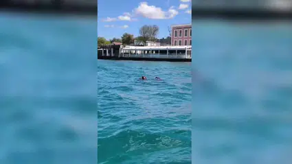 Boğaziçi Kıtalararası Yüzme Yarışı’nda Rus antrenör kayboldu