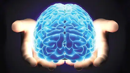 25 milyon yıllık sır çözüldü: İnsan beyni gizli yeteneğini ortaya koydu