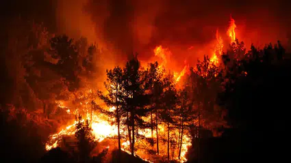 İzmir’deki orman yangınlarının sarsıcı etkileri