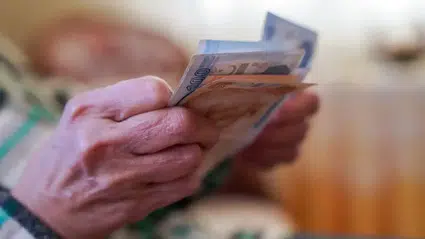 Tamamlayıcı Emeklilik Sistemi nedir? TES ne zaman yürürlüğe girecek?