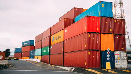 Hollanda da İsrail'e yaptırım hazırlığında