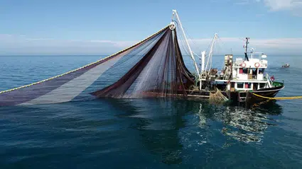 2025-2026 balık av sezonu başladı balıkçılar vira dedi