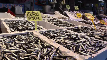 Balık tezgahlarında fiyatlar dudak uçuklattı