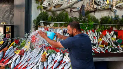 Av yasağının kalkmasının ardından vatandaş balığa koştu: Tezgahtaki fiyatlar ise şaşırttı!