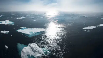 Küresel ısınma dünya nüfusunun üçte birini hareketsizliğe mahkum ediyor