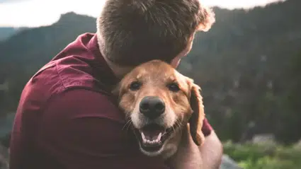 Köpek sahipleri kalp krizine karşı daha korumalı: Araştırma ölüm riskini düşürdüğünü gösteriyor