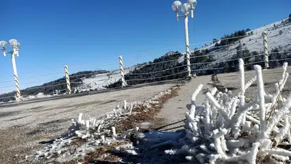 54 ilde zirai don felaketi: Toprak sıcaklığı -13'e düştü