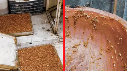 Kötü koku nelere kadir: Tebligat için gidilen evden kaçak imalathane çıktı