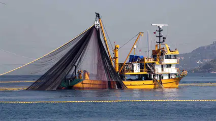 Balıkçılar ağları topluyor: Denizlerde av sezonu 15 Nisan'da bitiyor
