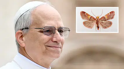 Girit'te keşfedilen yeni güve türüne Papa 14. Leo'nun adı verildi