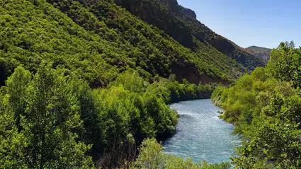 Çanakkale’de ormanlara giriş yasağı 1 Haziran'da başlıyor