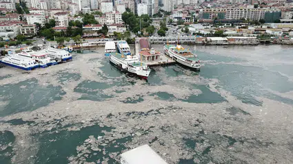 Marmara Denizi’nde mikroplastik kirliliği kritik seviyeye ulaştı