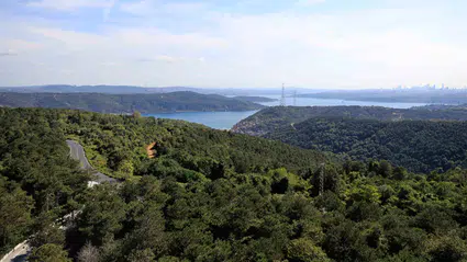 İstanbul'da orman yangınlarına karşı dev tedbir: Ormanlık alanlara girişler yasaklandı