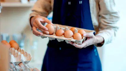 ABD'de salmonella alarmı tırmanıyor: 1,6 milyon koli yumurta piyasadan toplatılıyor