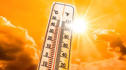 Araştırma ortaya koydu: Türkiye'de sıcak hava dalgaları son 75 yılın en yüksek seviyesine ulaştı